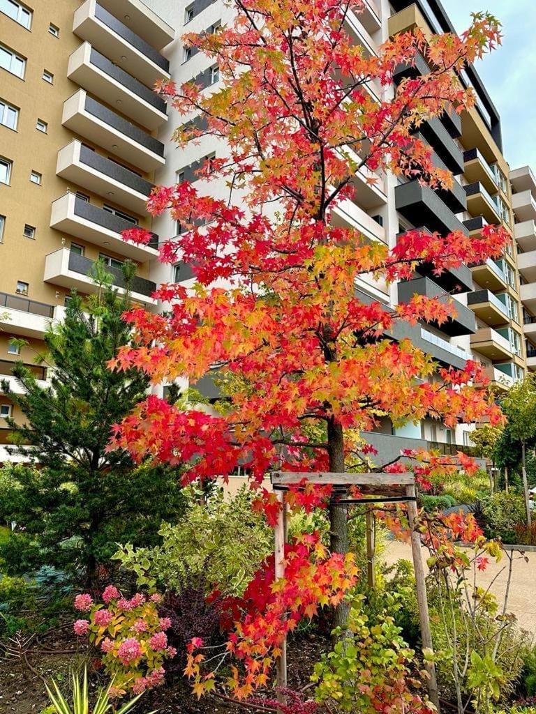 Studio 92- Urban Plaza Brašov Exteriér fotografie